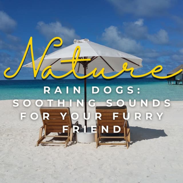 Rain Dogs: Soothing Sounds for Your Furry Friend - Cloud Cover