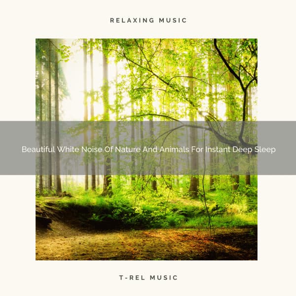 Beautiful White Noise Of Nature And Animals For Instant Deep Sleep - The Noise Project