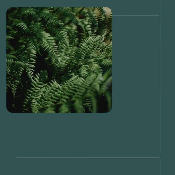 Smoky Ambiance for Enjoying Nature - Cool Jazz Relaxation Radio