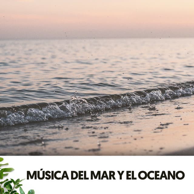 Música del Mar y el Oceano: Raindrop Rejuvenation - Relajacion