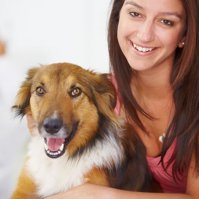 Serenading Paws: Harmonic White Noise Chill Sound for Pets - Happy Sunday Morning Music