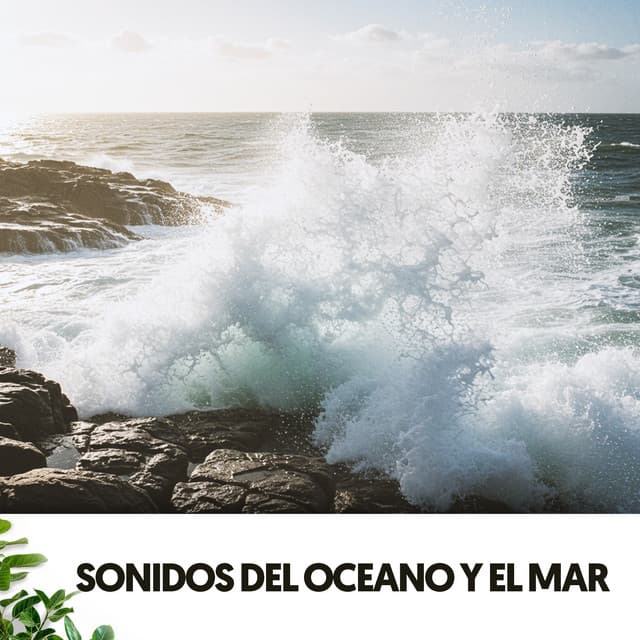 Sonidos del Oceano y el Mar: Harmonia y fuerza - Dog Relaxation