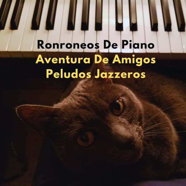 Ronroneos De Piano: Aventura De Amigos Peludos Jazzeros - El relajante para gatos