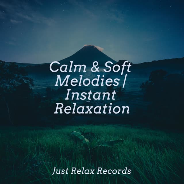 Calm & Soft Melodies | Instant Relaxation - Relajacion Del Mar