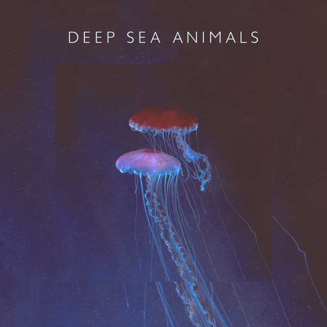 Deep Sea Animals - May Padma