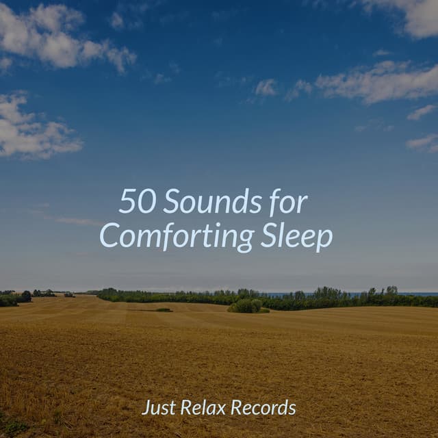 50 Sounds for Comforting Sleep - Schlaflieder Für Kinder