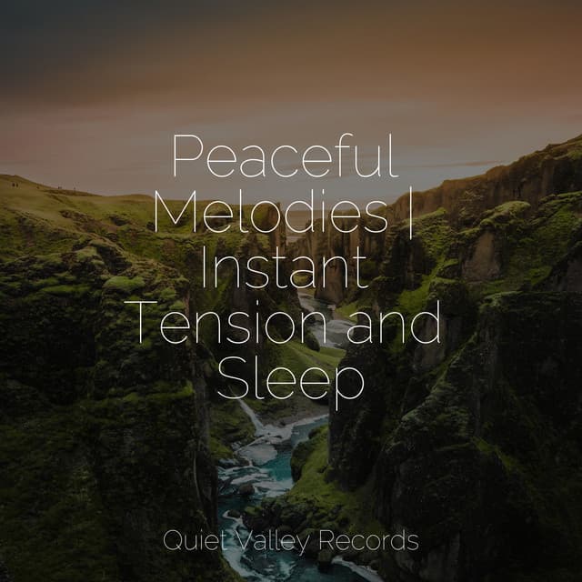 Peaceful Melodies | Instant Tension and Sleep - Rain Sound Studio