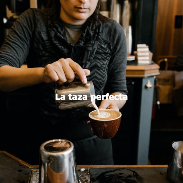 La taza perfecta - Música para Bares