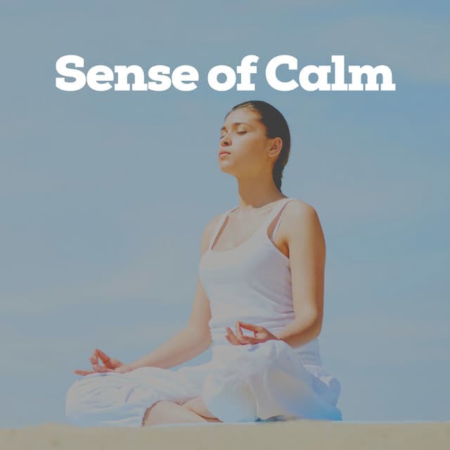 Sense of Calm - Meditation & Focus Workshop