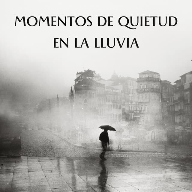 Momentos De Quietud En La Lluvia - Lluvia en el Bosque