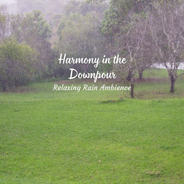 Harmony in the Downpour: Relaxing Rain Ambience - About A Sudden Rainstorm