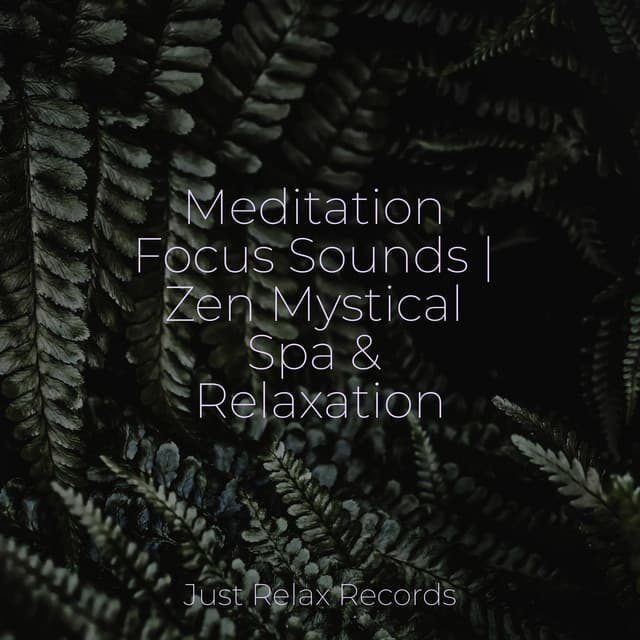 Meditation Focus Sounds | Zen Mystical Spa & Relaxation - Dog Music