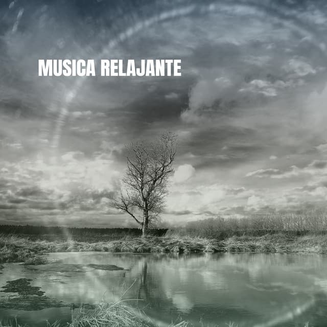 Musica Relajante - Studying Music Group