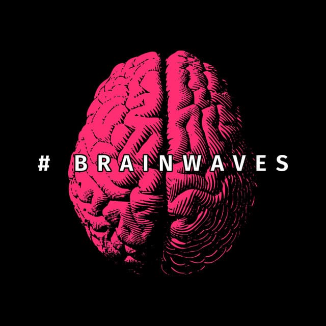 # Brainwaves - Rita Chakram