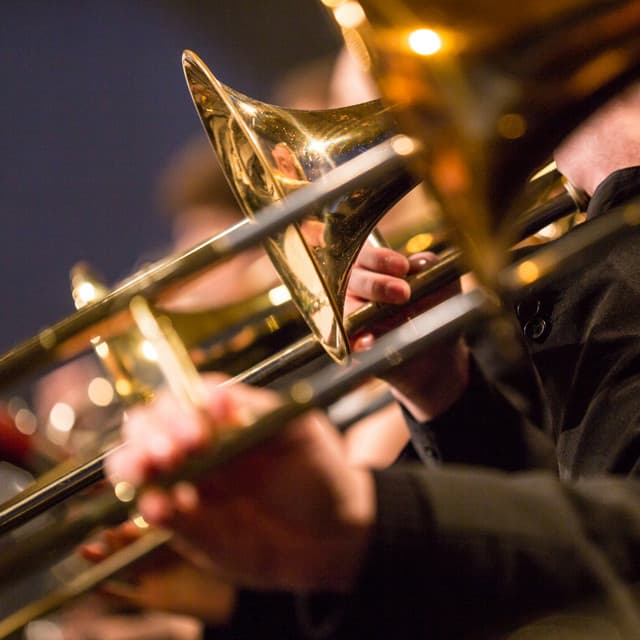 Soft Orchestra: Symphony of Calm - Jose Garcia