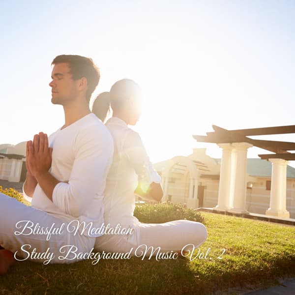 Blissful Meditation Study Background Music Vol. 2 - Studying Music Experience