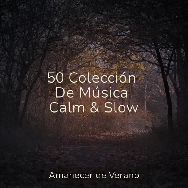 50 Colección De Música Calm & Slow - CANCIONES DE CUNA