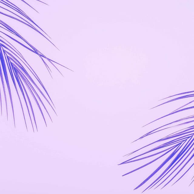 Organic Guitar Music - Background for Listening Tales - Chill Vibes