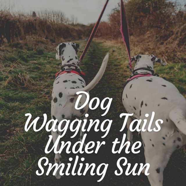 Dog Wagging Tails Under the Smiling Sun - Music for Dog's Ears