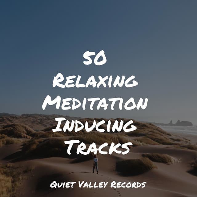 50 Relaxing Meditation Inducing Tracks - Music to Relax in Free Time