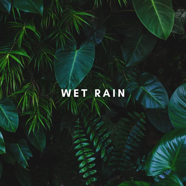 Jungle Rain - Rain Radiance