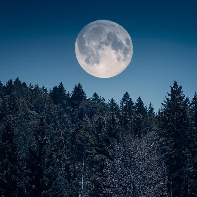 Paz Nocturna: Música Para Un Sueño Reparador - Espíritus de nuestros sueños