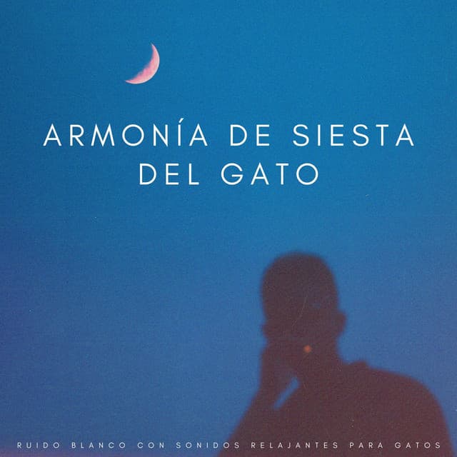 Dicha De Ruido Blanco: Tonos Relajantes De Chillout - Los viajeros del ruido blanco