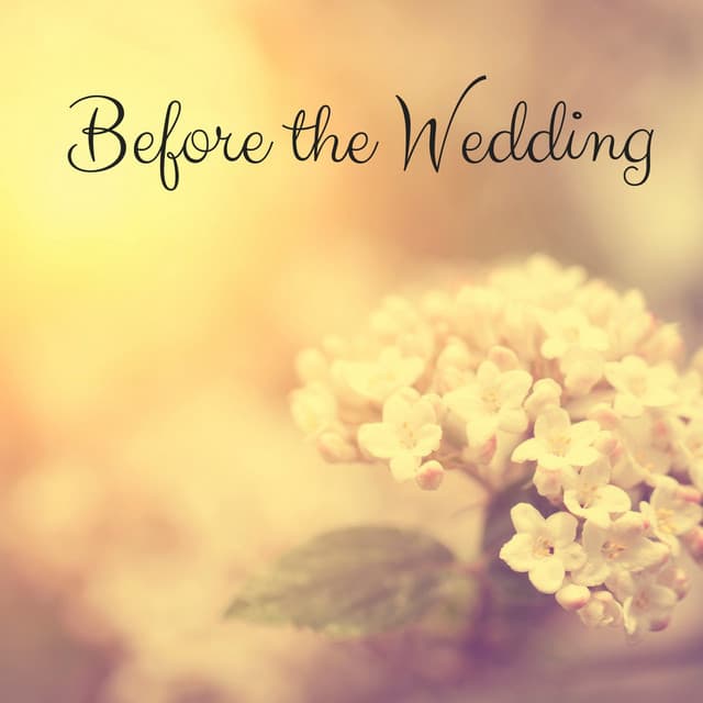 Before the Wedding - Elton Ames