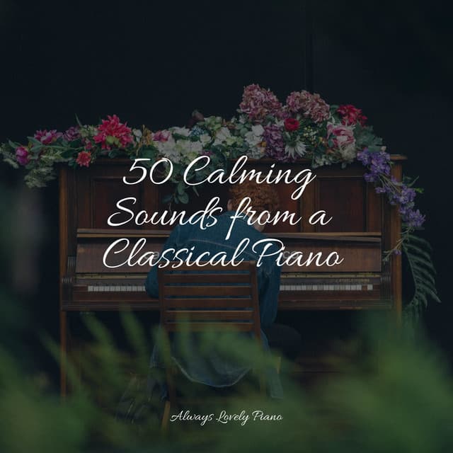 50 Meditative Piano Classics - Piano Bar