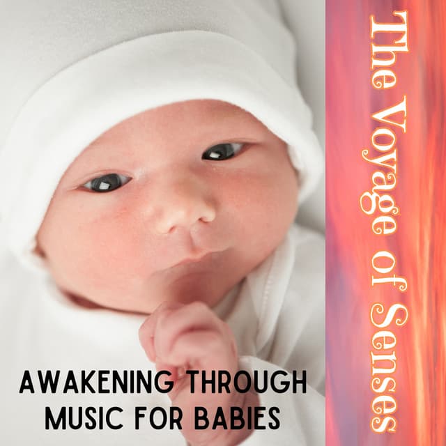 The Voyage of Senses: Awakening through Music for Babies - Sounds Of Calm