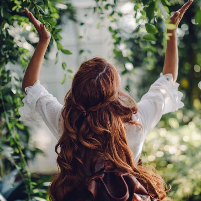 Symphony of Tranquility: Nature's Serene Melodies - Music for Stress Relief