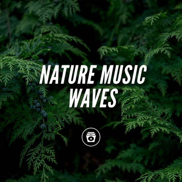 Nature Music Waves - ASMR Rain Sounds