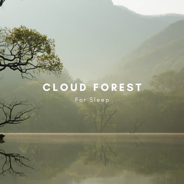Cloudy Forest for Sleep - Zen Sounds
