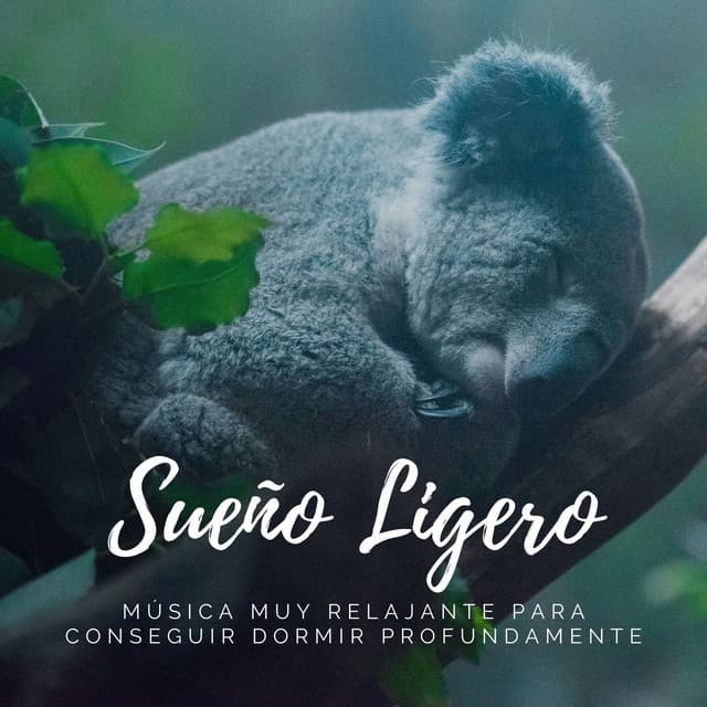 Sueño Ligero: Música muy Relajante para Conseguir Dormir Profundamente - Sueño Profundo