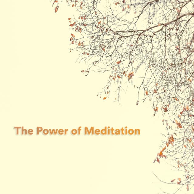 The Power of Meditation - Meditation Music