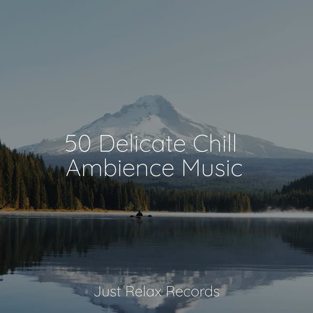 50 Delicate Chill Ambience Music - Kinderliederbande