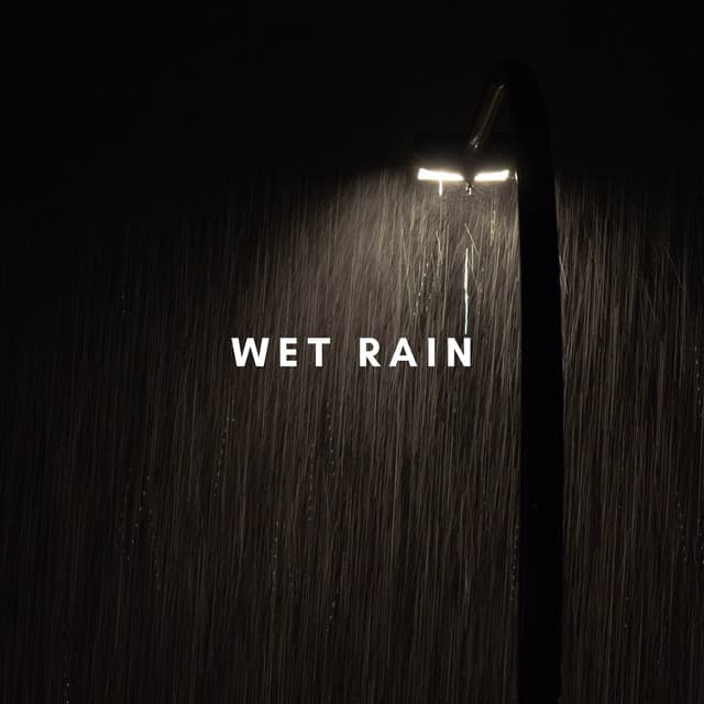 Echoes of Wet Rain - Wet Rain