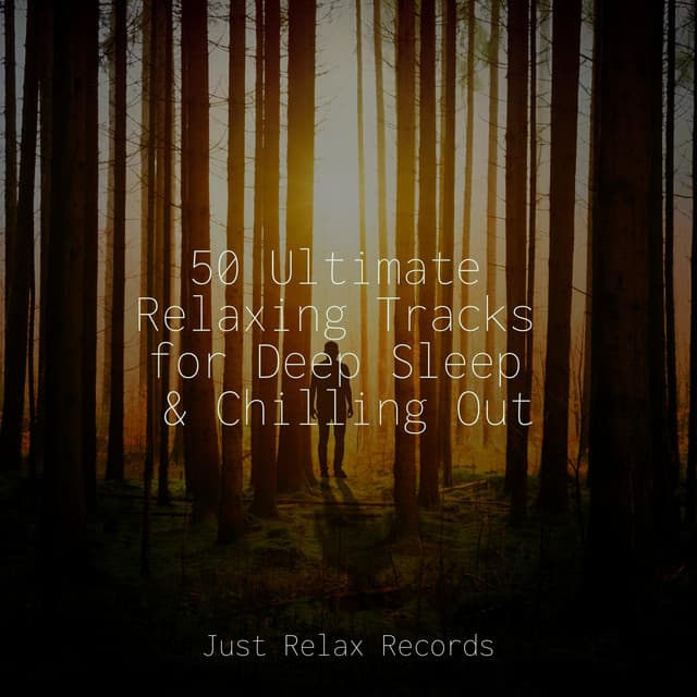 50 Ultimate Relaxing Tracks for Deep Sleep & Chilling Out - Meditar Profundamente
