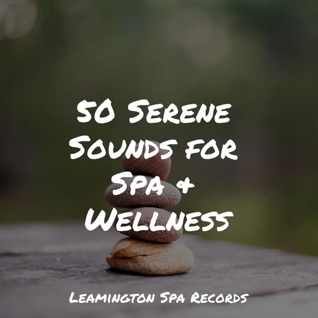 50 Serene Sounds for Spa & Wellness - Weather Factory