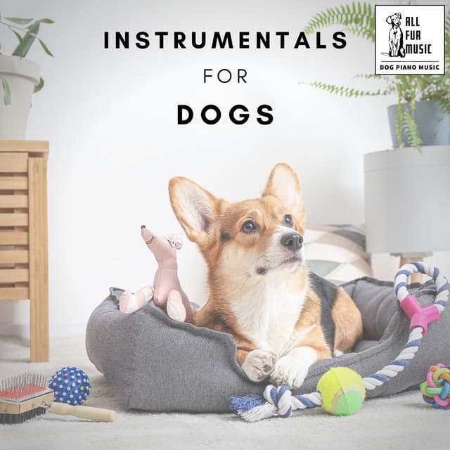 Instrumentals for Dogs - Jingle Cats