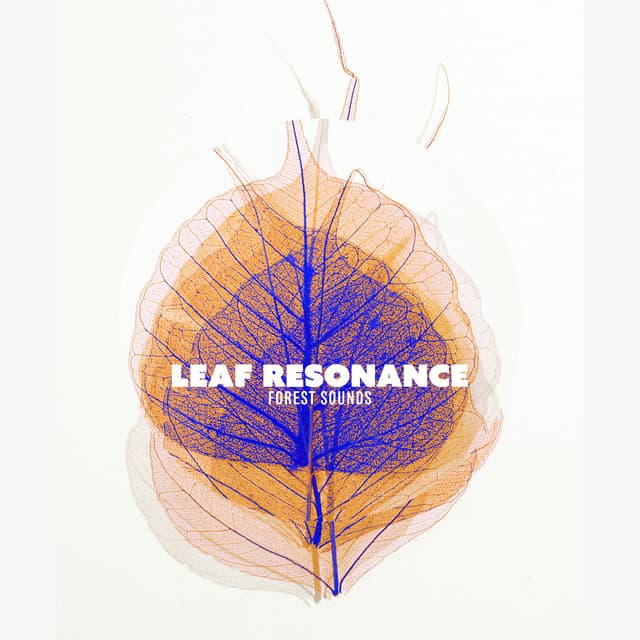 Leaf Resonance - Forest Sounds