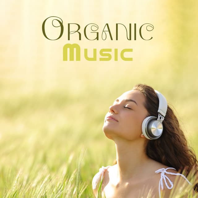 Organic Music: Instrumental New Age With Sound Effects Of Nature - Black Butterfly Music Ensemble