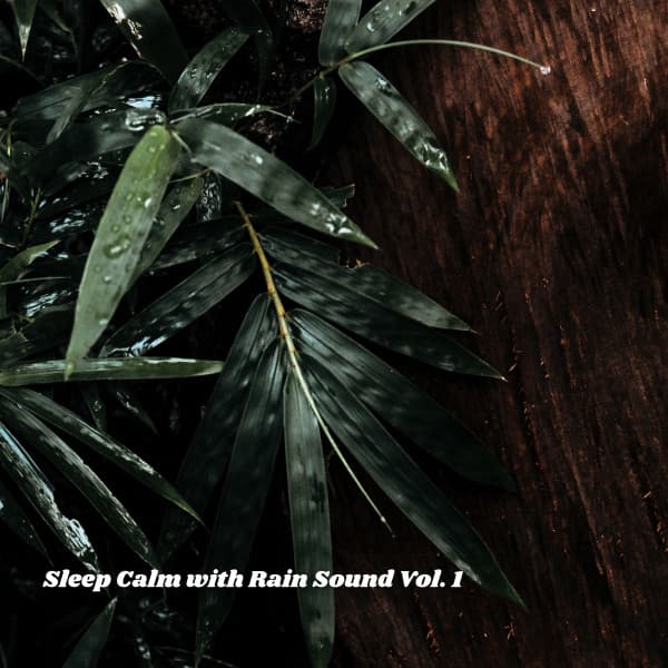Sleep Calm with Rain Sound Vol. 1 - Sleep Repeat