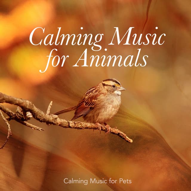 Calming Music for Animals - Calming Music For Pets