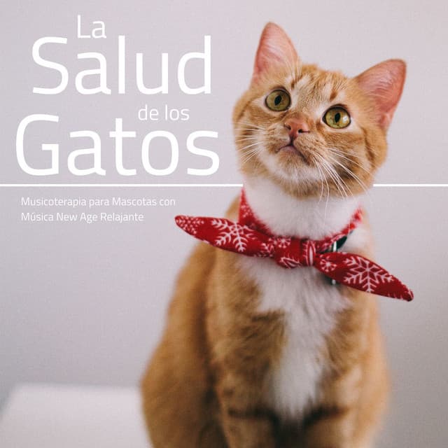 La Salud de los Gatos: Musicoterapia para Mascotas con Música New Age Relajante - Cuna Lullabies