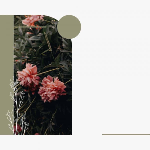 Bright Bgm for Rejuvenating Seasons - Jazz Vibe Duo