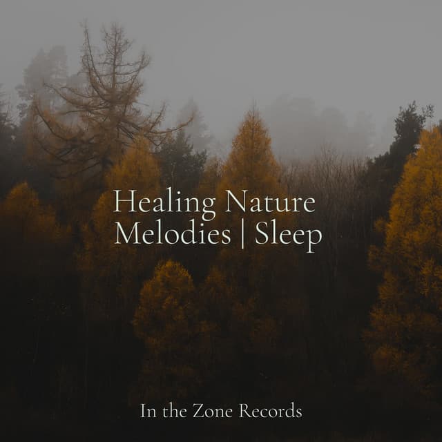 Healing Nature Melodies | Sleep - Sleepy Night Music