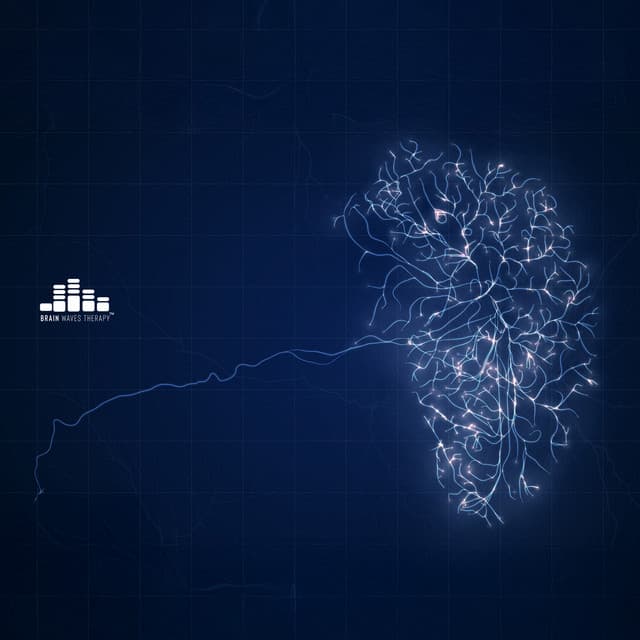 Sensorimotor Flow - Brain Waves Therapy