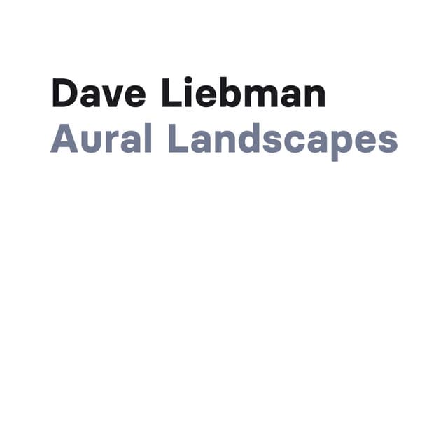 Aural Landscapes - Dave Liebman