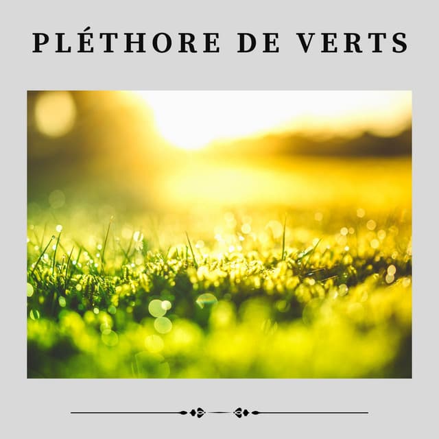 Pléthore de Verts - Sons de la nature